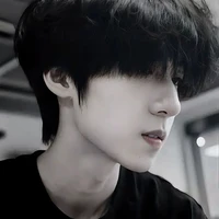 Dương Bác Văn_Enigma_Gỗ Tuyết Tùng