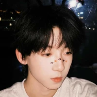 Dương Bác Văn