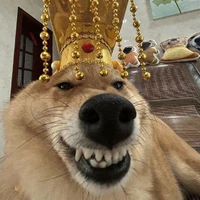 T/g đẹp zai nhất thế giới