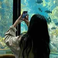 Nguyễn Hoàng Minh Anh - Yoru