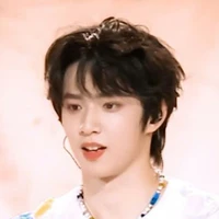 Lưu Diệu Văn