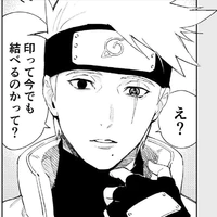 hakate kakashi