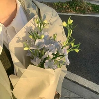 Whieep˖◛⁺⑅♡