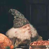 Filius Flitwick