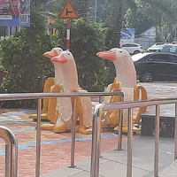 Sốp lười
