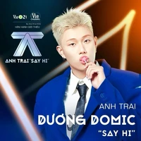 dương domic