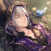 Silver/Silver Vanrouge 