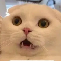 NVP tập thể