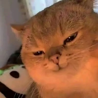 t/g viết ra truyện tào lao