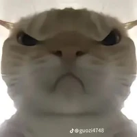 t/g bị bệnh lười