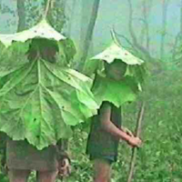 Vạn vật thiên nhiên:))