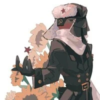 USSR_ Soviet Union