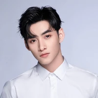 Huỳnh Hoàng Hùng (Gemini)