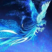 Đại bàng - Thần thú của ông ngoại n9