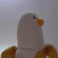 daisy vịt vô danh :)