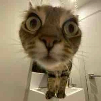 T/g bay tới đâyyyy