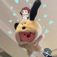 nvp nam