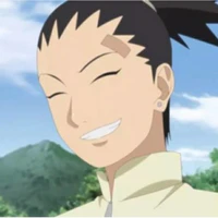 Nara Shikadai