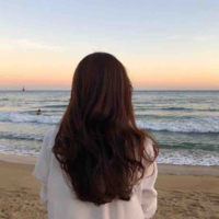 Bảo như