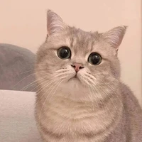 mie 