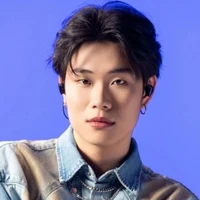 dương domic