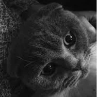 Zio [hệ thống 1360] [dạng hệ thống]