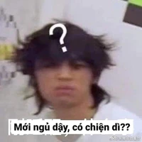 cả đám