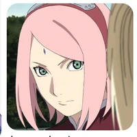 Uchiha/Haruno Sakura