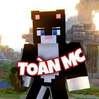 Toàn(mèo đen)