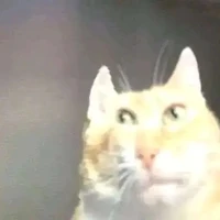 Alltop - trừ thằng nào thì kh thì th-