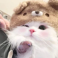 Tác Giả
