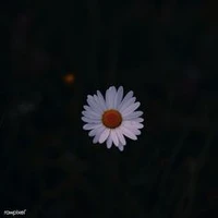 ？？？