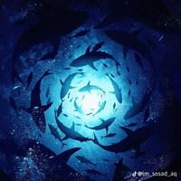 all (trừ ai thì trừ)