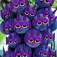 purple