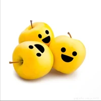 Mr.sun
