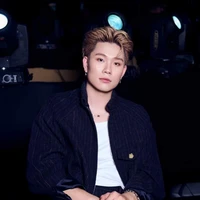 dương domic