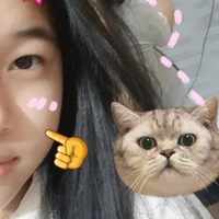 Suryy
