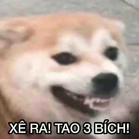 FannyxLayla？？？