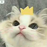 tác giả