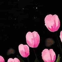 All
