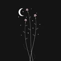 #_N/v bí ẩn_#