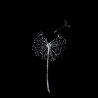 #_N/v nữ bí ẩn_#