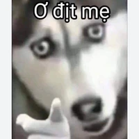 con mụ TG :))))