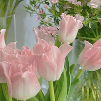 Tác giả - Hyeonis