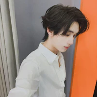 Đinh Trình Hâm