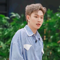 dương domic