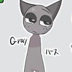Gray[anh chàng màu xám]