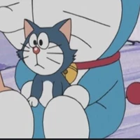 meodora