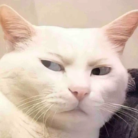 Tác giả🍚🐶☺️☺️☺️