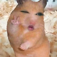 nhỏ t/g nè